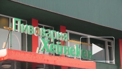 Лидеров профсоюзов завода Heineken уволили за нарушение дисциплины