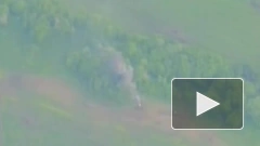 Минобороны: за сутки системы ПВО РФ сбили 12 украинских беспилотников