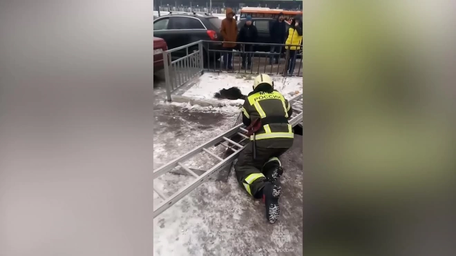 Мужчина провалился под землю около стадиона в Нижнем Новгороде 