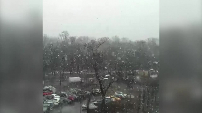 Синоптики снова обещают дождь со снегом в Петербурге