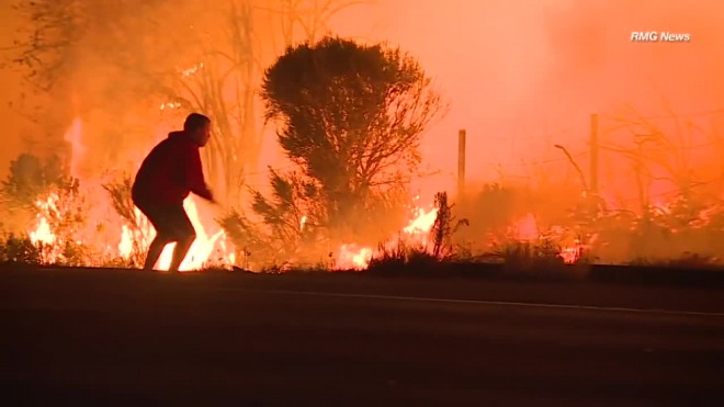 В Калифорнии мужчина кинулся в пламя огня, чтобы спасти кролика