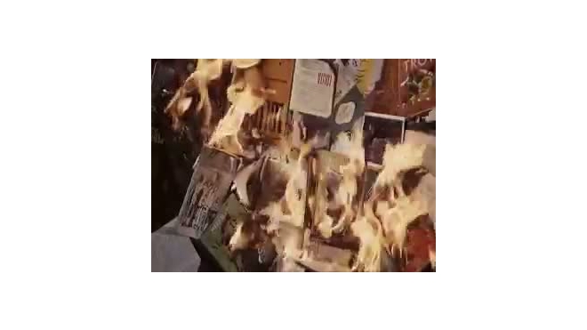 451 градус по Фаренгейту. В Зеленогорске сгорел дотла книжный магазин