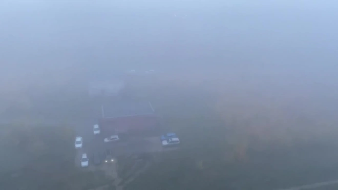 В МЧС предупредили петербуржцев об утреннем тумане