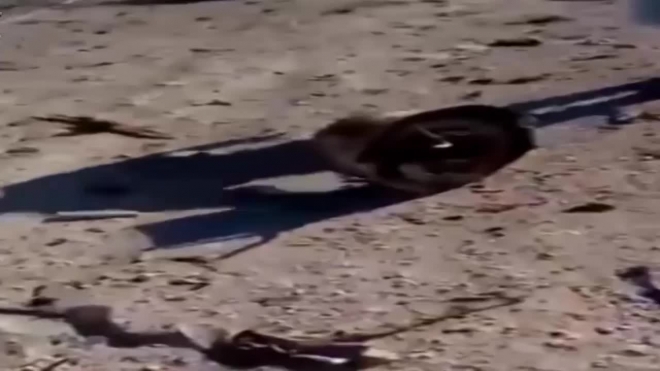 Появилось видео с места падения МиГ-23 под Дамаском