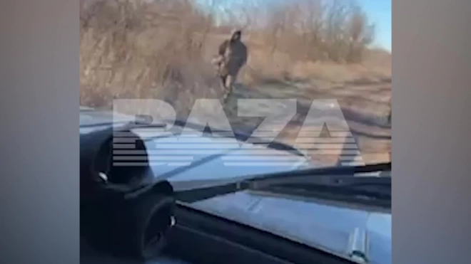 МВД России: мужчина в камуфляже открыл огонь по полицейским в Ростовской области