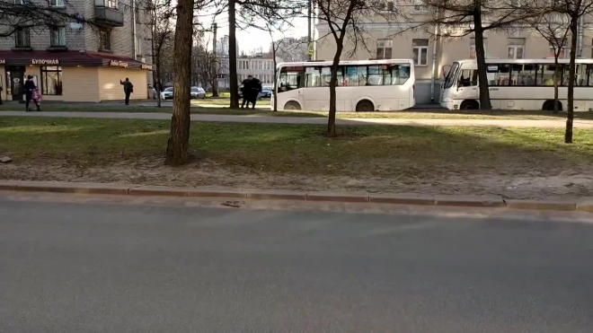 Беспредел в Петербурге: на дороге подрались водители маршруток
