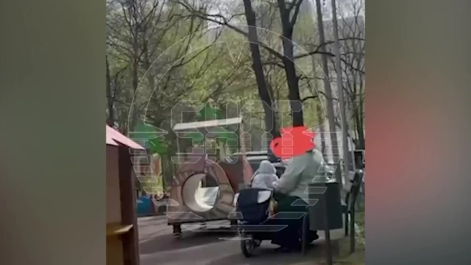Мать избила и обматерила грудного ребенка на детской площадке в Москве