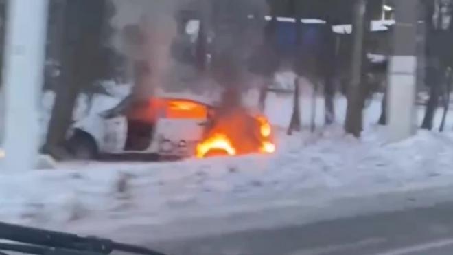 В Курортном районе такси с пассажирами врезалось в дерево и загорелось