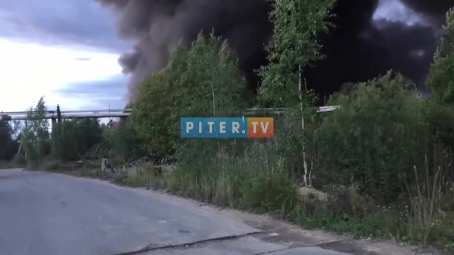 В Ленобласти горит завод: смог дыма виден за километры 