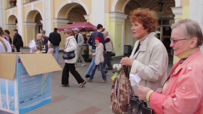 Акция милосердия "Белый цветок" проходит в Петербурге