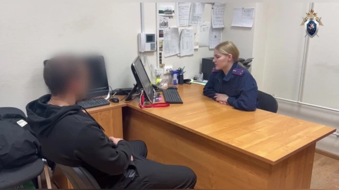 Мужчину подозревают в изнасиловании девочки в Зеленогорске