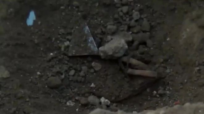 На западе Мексики нашли свыше 50 мешков с человеческими останками