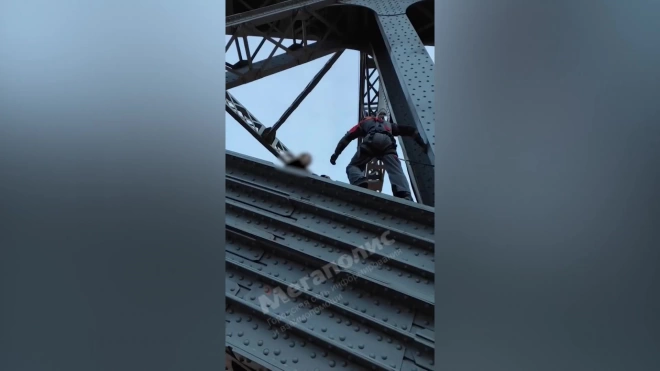 Спасатели сняли с Большеохтинского моста влюбленную пару – видео