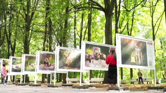 В Приморском парке Победы открылась Всероссийская благотворительная фотовыставка "Я буду твоим лучшим другом"