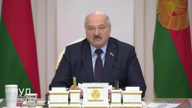 Лукашенко: в Белоруссии должны работать партии, которые следуют государственному курсу