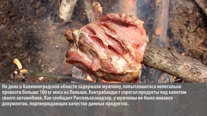 В Калининграде уничтожили 106 кг мяса