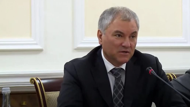 Володин отметил роль президентов России и Узбекистана в отношениях стран