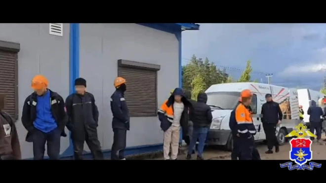 Транспортная полиция провела рейд на станции Усть-Луга в рамках операции "Нелегал-2025"