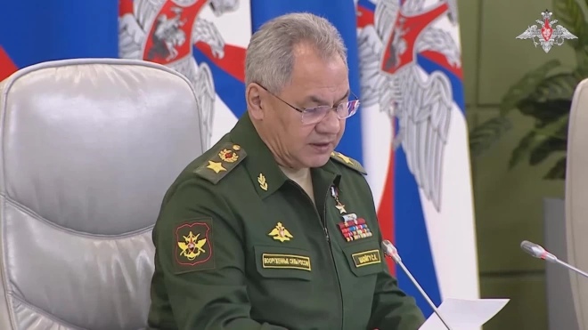 Шойгу заявил о продвижении российских военных в зоне спецоперации