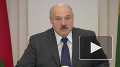 Число заболевших коронавирусной инфекций в Белоруссии достигло 53 973