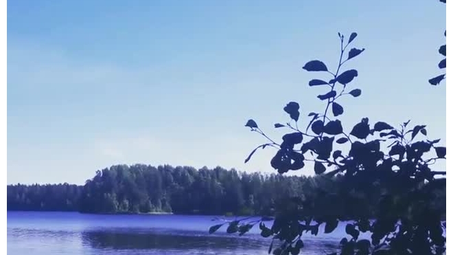 Погубивший семью на озере Щучьем отец праздновал день рождения
