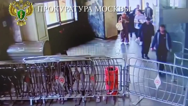 В московском метро "заяц" напал на женщину в вагоне
