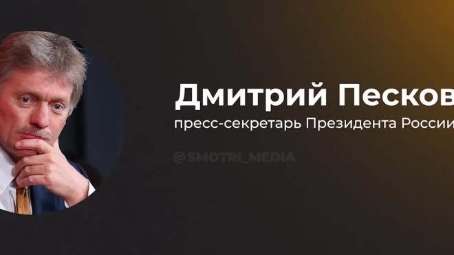 Песков заявил, что подрыв аммиакопровода может негативно сказаться на зерновой сделке