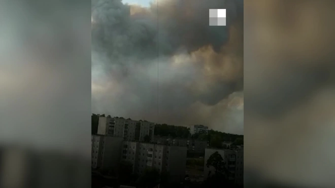В Свердловской области из-за лесного пожара эвакуируют детские учреждения