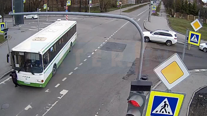 Видео: в Пушкине автобус сбил женщину