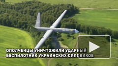 В ДНР заявили об уничтожении ударного беспилотника ВСУ