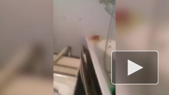 Двое парней в Пензе избили девушку и сняли это на видео