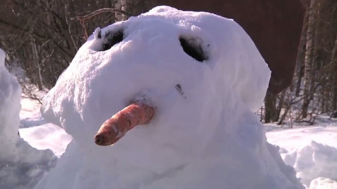Снеговики вышли на митинг, чтобы спасти Юнтолово