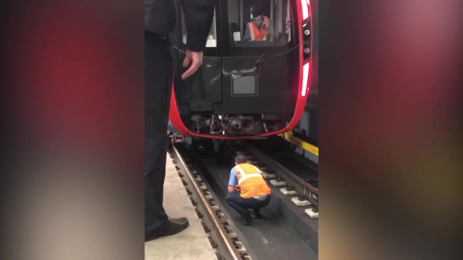 Момент спасения человека из-под поезда на станции метро в Москве попал на видео