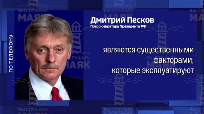 Песков назвал заявления о планах России влиять на выборы в США абсурдными