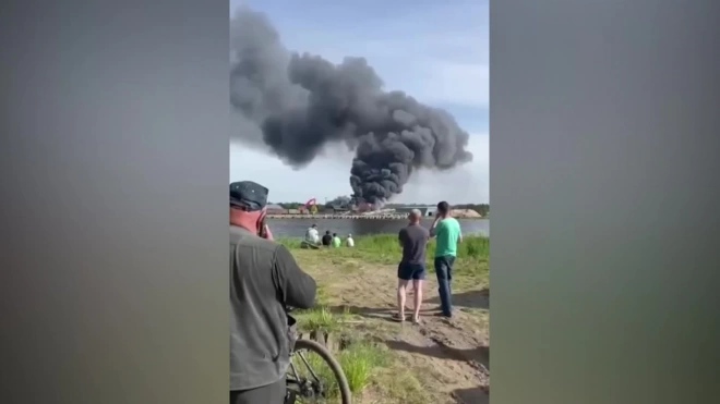 Появилось видео горящего склада в морском порту в Усть-Луге 