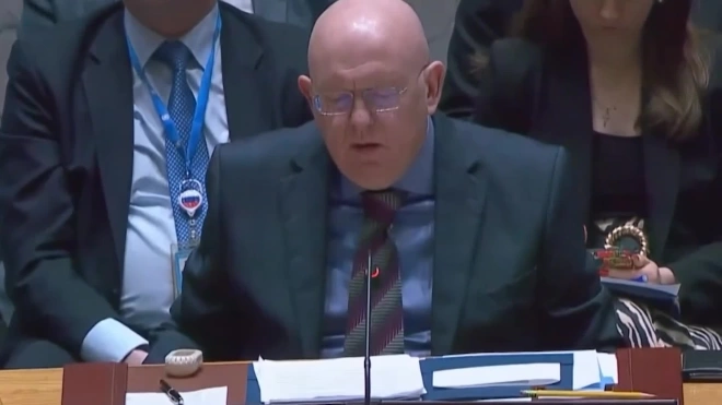Небензя: обвинения, что в РФ поставляют оружие в нарушение резолюций СБ ООН, голословны
