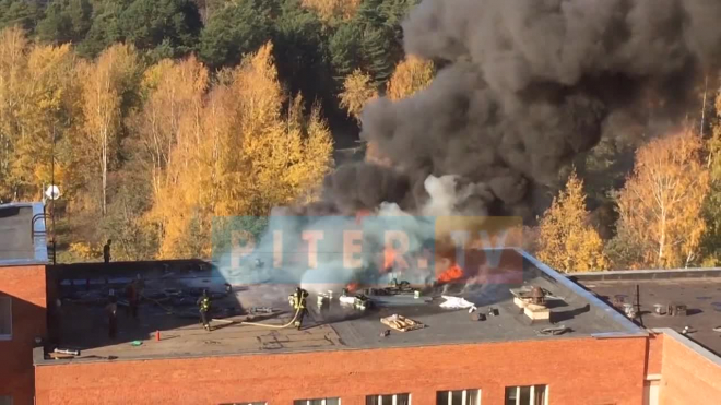 В Сосновом Бору вспыхнуло здание прокуратуры и городского суда