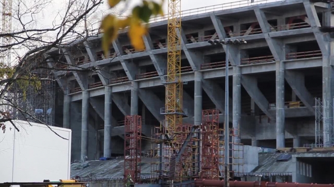 В Сети можно проголосовать за талисман ЧМ по футболу 2018 года