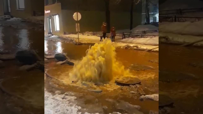 Видео: на Ропшинской улице прорвало трубу 