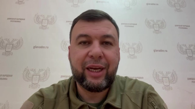 Пушилин заявил, что жители ДНР призывного возраста могут выезжать в другие регионы РФ