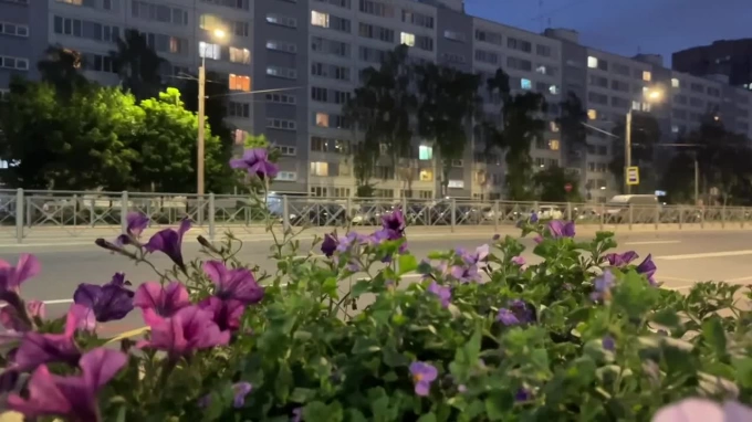Улицу Дыбенко осветили свыше 300 светодиодных фонарей