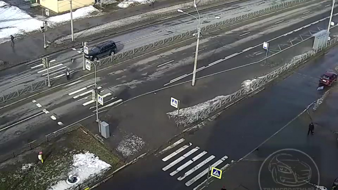 Видео: На Гатчинском шоссе внедорожник сбил собаку 