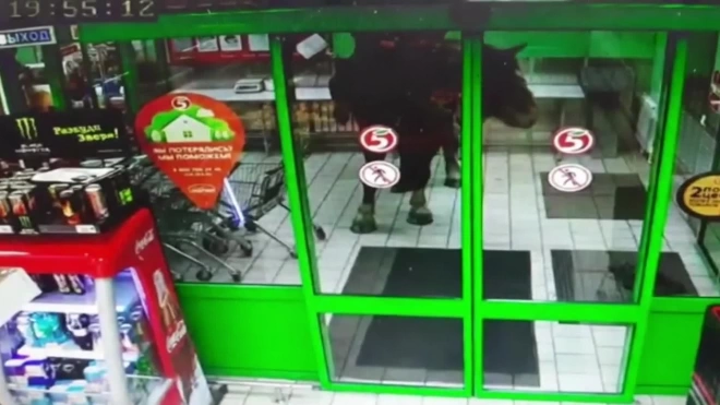 В Курской области мужчина заехал в супермаркет на лошади 