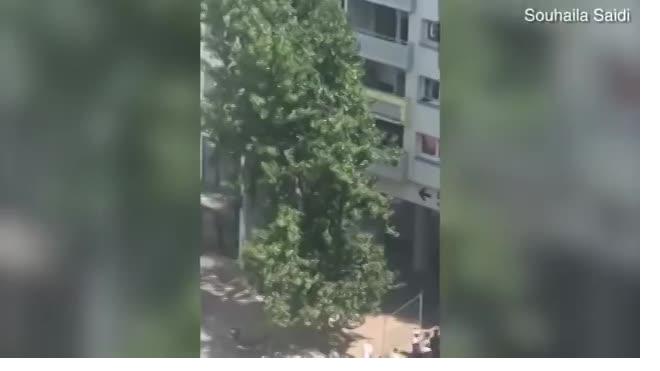 Видео: Во Франции прохожие поймали падающих из горящей многоэтажки 2 детей