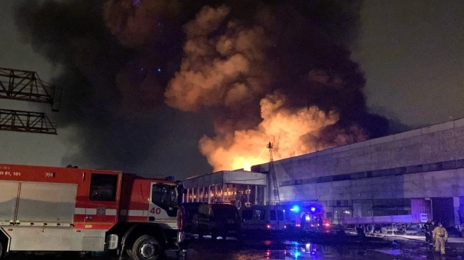 Пожар в Металлострое: что известно, фото и видео