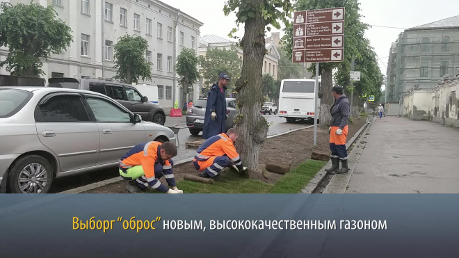 Видео: на Ленинградском проспекте в Выборге уложили новый газон