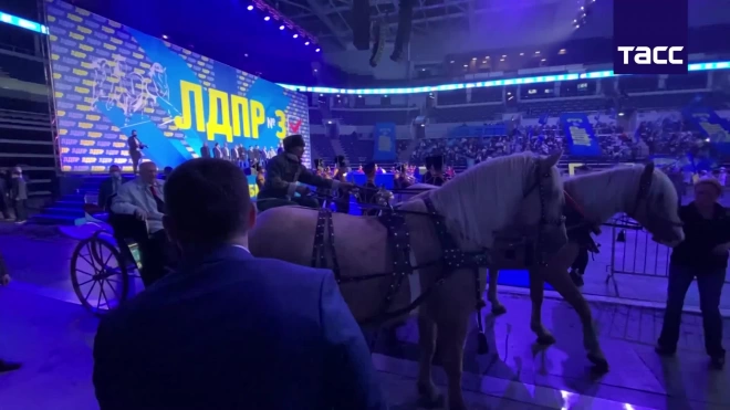 Жириновский на митинг ЛДПР прибыл на тройке лошадей 