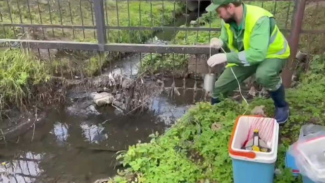 Росприроднадзор проверяет реку Славянку после сообщений об ее загрязнении