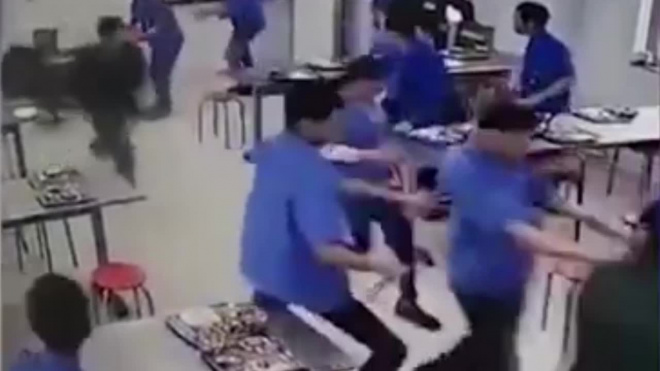 Видео: в Китае дикий кабан ворвался в столовую, разогнал людей и умер