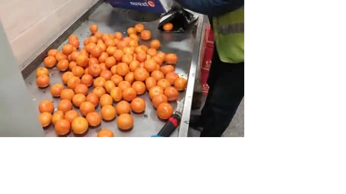 В Петербург с начала года привезли почти 115 тысяч тонн мандаринов